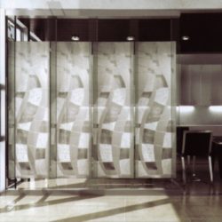 Designer Glass Partition Shower