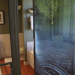 Carved and Acid Etched Shower Door