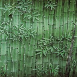 Etched Glass Mural "Bamboo Forest" 3 panel set PGA255