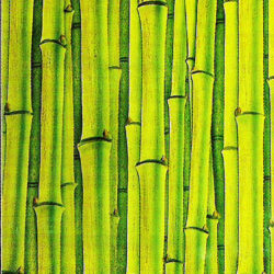 Deep Carved Glass Panel "Bamboo" PGC110