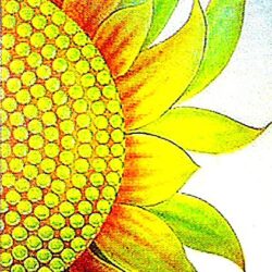 Etched and Painted Glass Design "Abstract Sunflower" PGC173