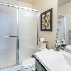 Privacy glass frosted rain shower doors Palace of Glass